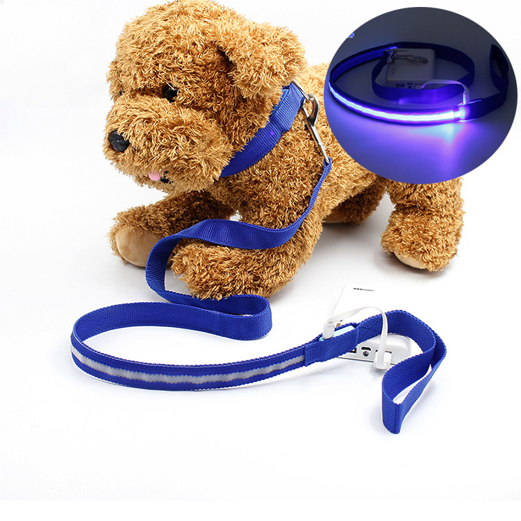 Manufacturer Wholesale Multi-colors Electric Charging Nylon Pet Dog Led Leash