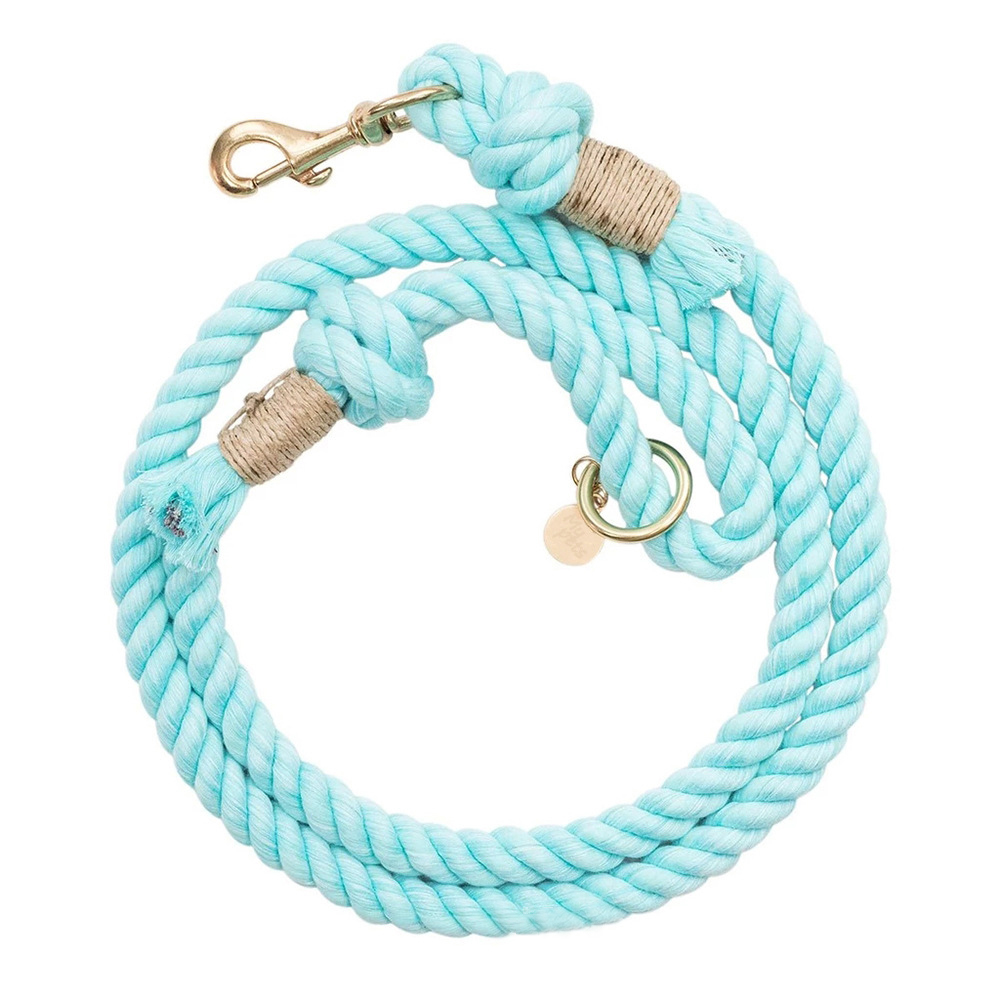 Manufacturer Wholesale Multi-colors Thick Rope Leashes For Pet Dog Outdoor Use